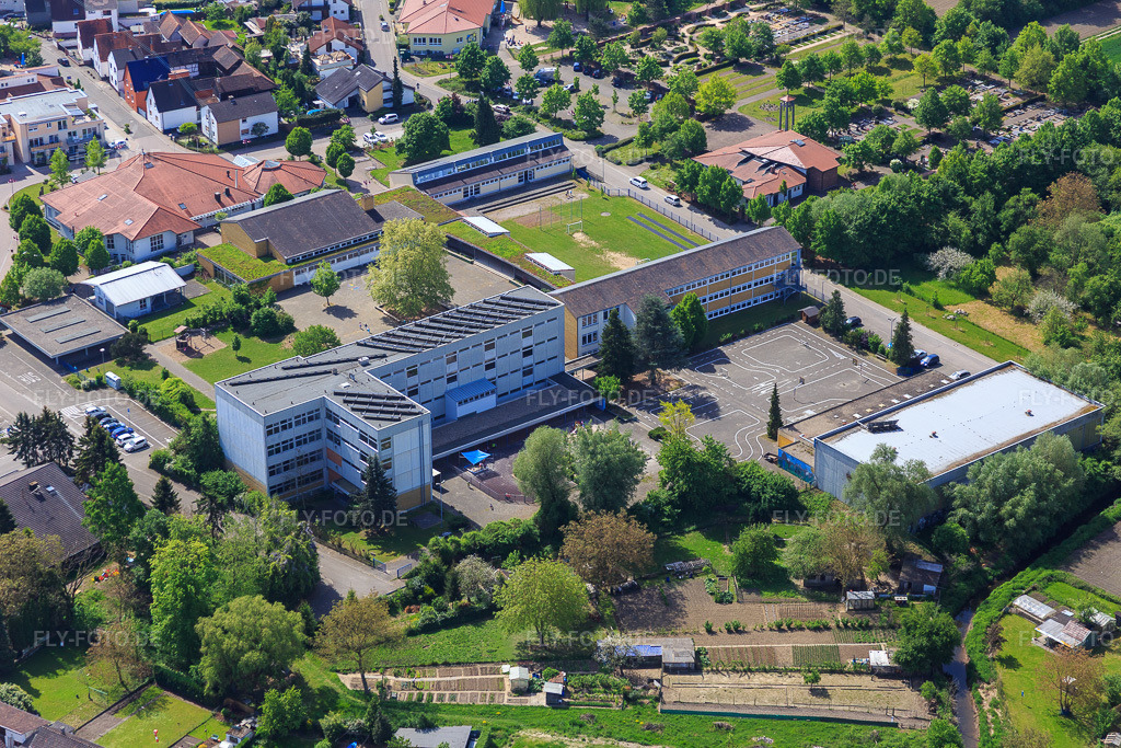 Luftbild: Grundschule Hainbuchenschule Hagenbach in Hagenbach im Bundesland Rheinland-Pfalz in Deutschland. Foto: IMG_078463.jpg vom 08.05.2015 durch Werner Riehm/FLY-FOTO.deHainbuchenschule Hagenbach - Hainbuchenschule Hagenbach