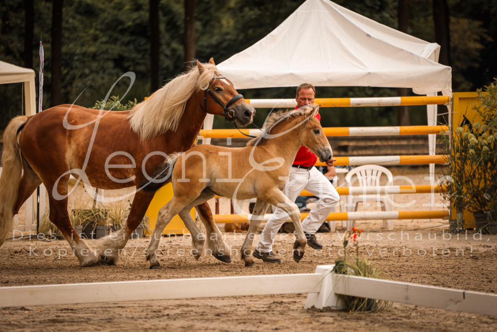 SaSF00057 | Leoni Ertmer Photography - Realisiert mit Pictrs.com