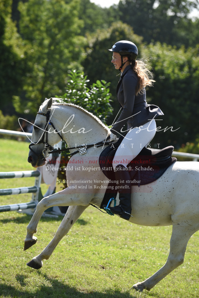 DSC_9147 | Pferde- und Turnierfotografie in Westsachsen. Pferdeportraits, Auftragszeichnungen und intuitive Kunst.