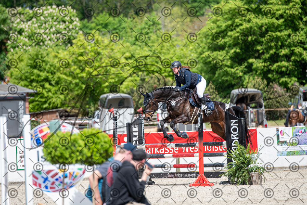 KPT_5598 | andre_photographic