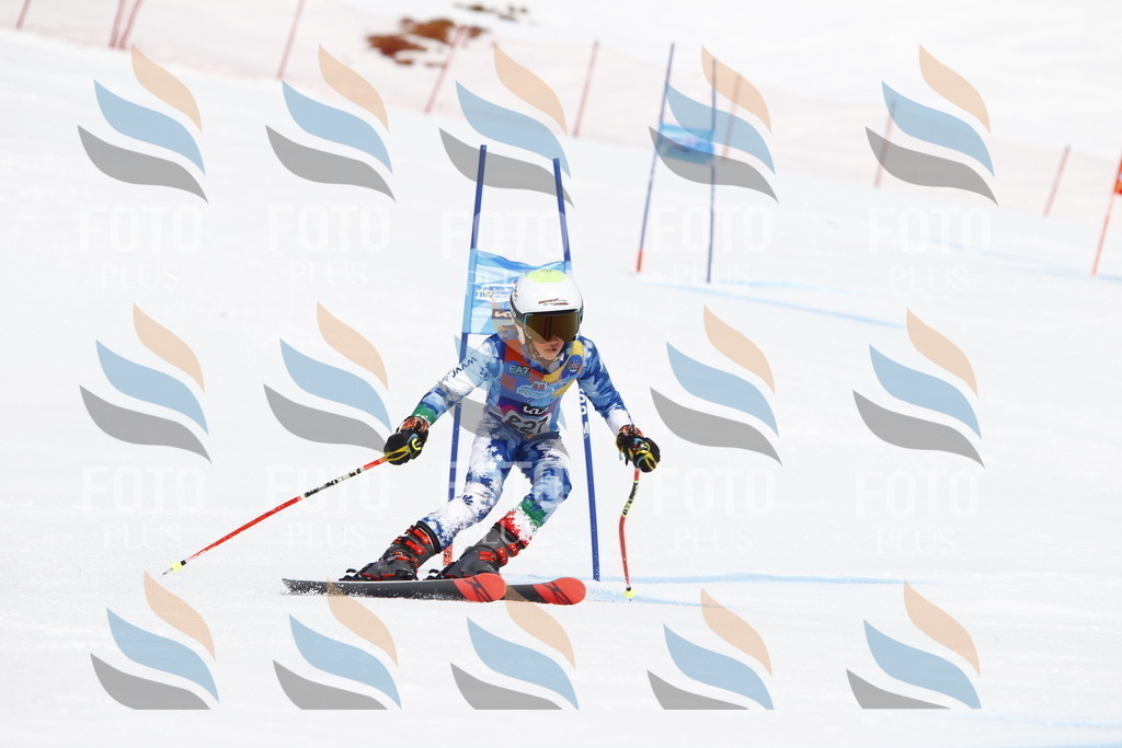 _U3G5855 | holidayphoto