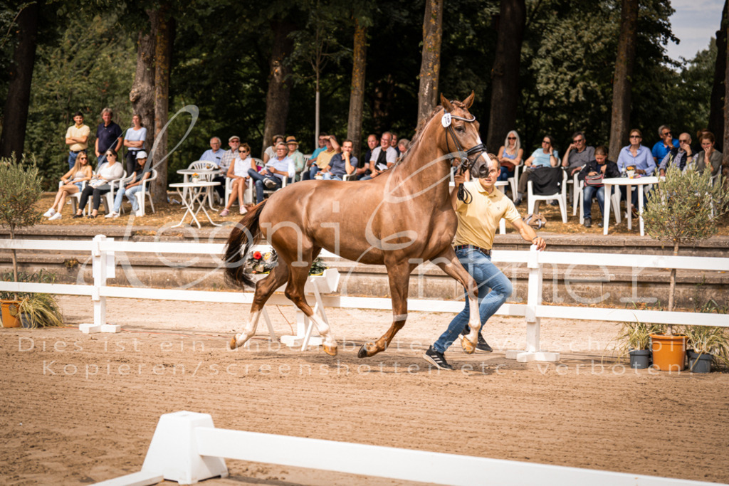 4.Fr00055 | Leoni Ertmer Photography - Realisiert mit Pictrs.com