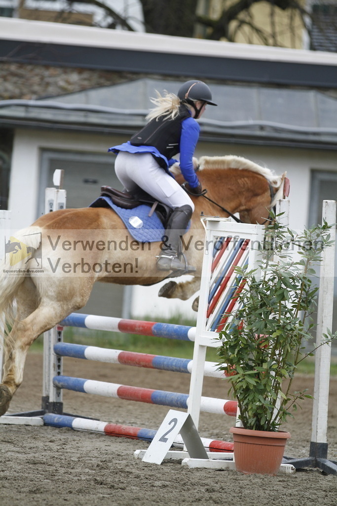 _MG_4558 | equestrian-live-com
