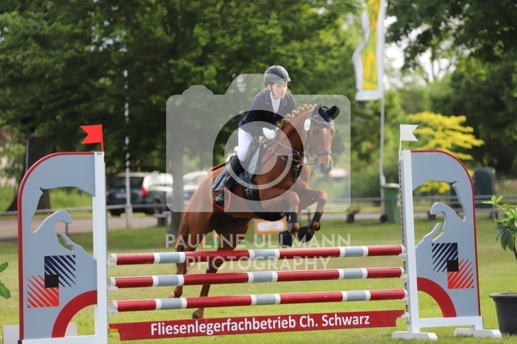 IMG_6850 | Pauline Ullmann Photography - Realisiert mit Pictrs.com