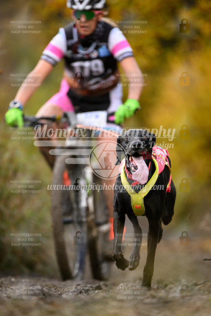 MompixPhotography_ICF_WC_2024_SA_Bike_-265 | PayLife
