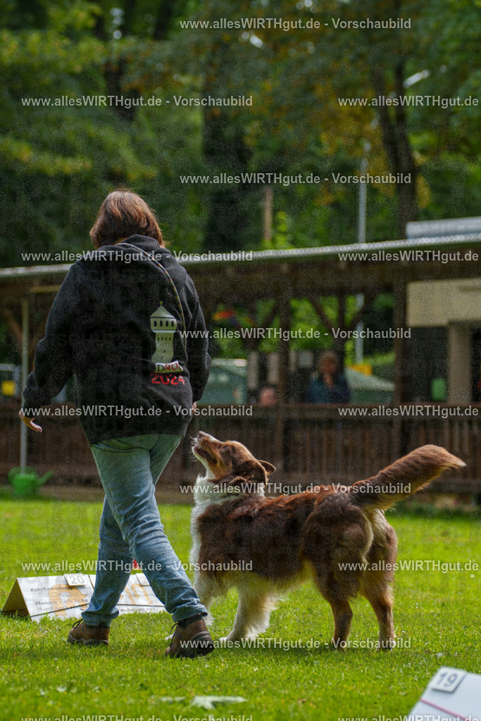 @allesWIRTHgut_Tierfotografie - www.allesWIRTHgut.de - 094711-7R507627 | Professionelle Tierfotografie in Mönchengladbach von Daniel Wirth (allesWIRTHgut). Liebevolle & natürliche Bilder von Hunden & Katzen für unvergessliche Erinnerungen.