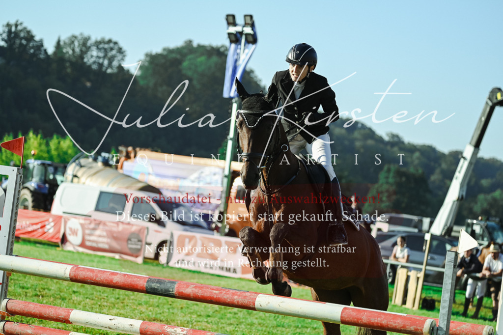 DSC_4420 | Pferde- und Turnierfotografie in Westsachsen. Pferdeportraits, Auftragszeichnungen und intuitive Kunst.