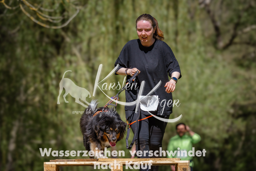 1245_ZZ94260 | kk-dogfotos