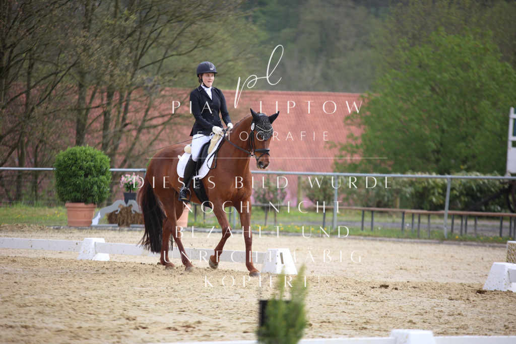 IMGT6725 | pl-fotografie