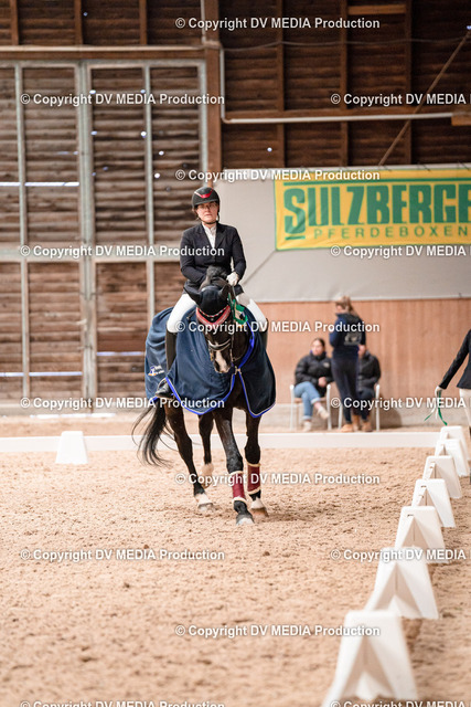 Dressur Tag 3-338 | dv-media-shop - Realized with Pictrs.com