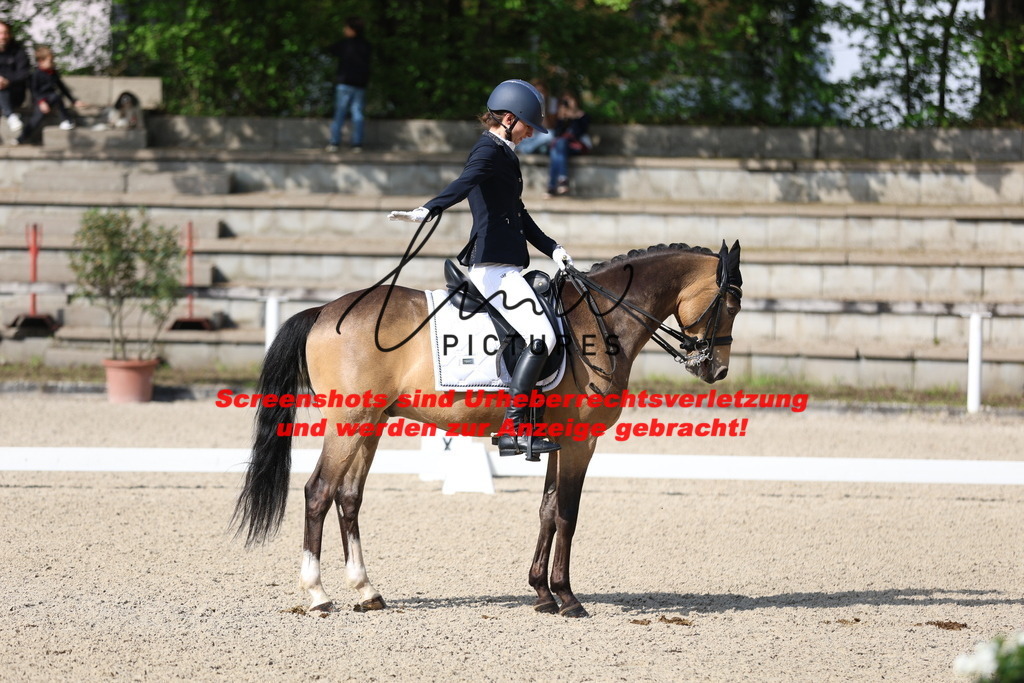 A40A3746 | lmwpictures - Realisiert mit Pictrs.com