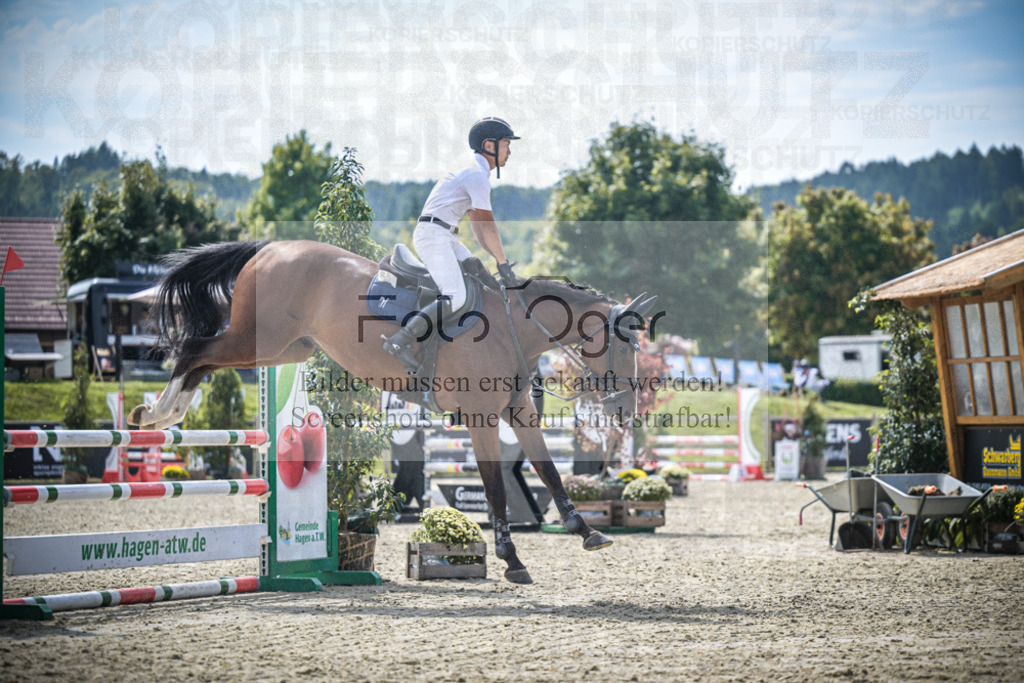 DOS_8369 | Entdecke hochwertige Reitturnierfotos von Foto Oger. Professionell, emotional und authentisch – jetzt Lieblingsmomente im Shop bestellen.Deutschlandweite Turnierfotografie. - Realisiert mit Pictrs.com