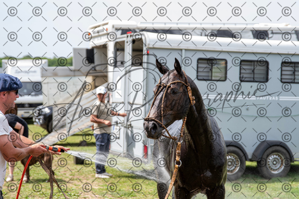 POL_3736 | andre_photographic