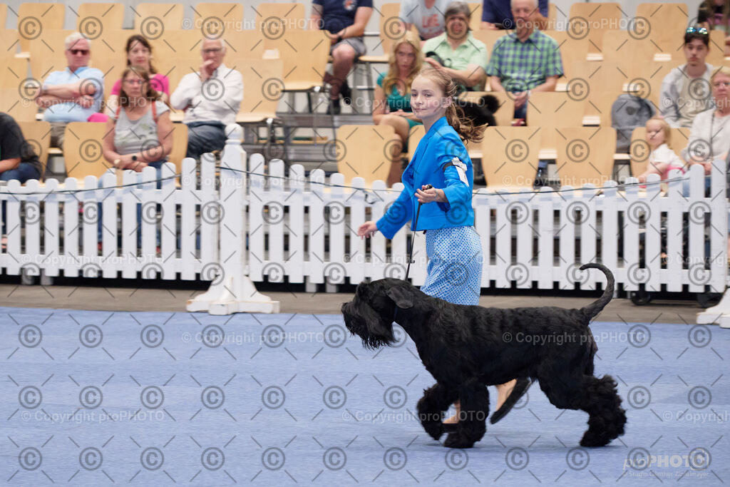 202406_ÖKV-IHA-Tulln24_NZ9_7755 | proPHOTO - Realisiert mit Pictrs.com