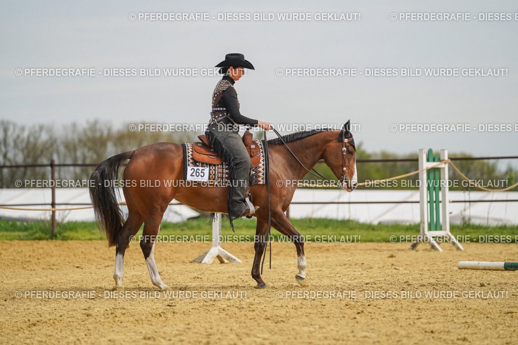 DSC03928 | Pferdegrafie