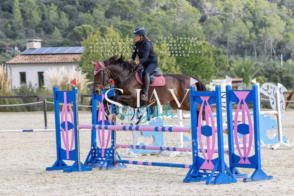 IMG_3087 | s-jay-photography - Realisiert mit Pictrs.com