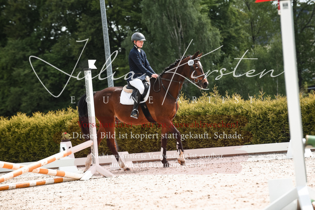 20230518_JK-Röhrsdorf-10-087 | Pferde- und Turnierfotografie in Westsachsen. Pferdeportraits, Auftragszeichnungen und intuitive Kunst.