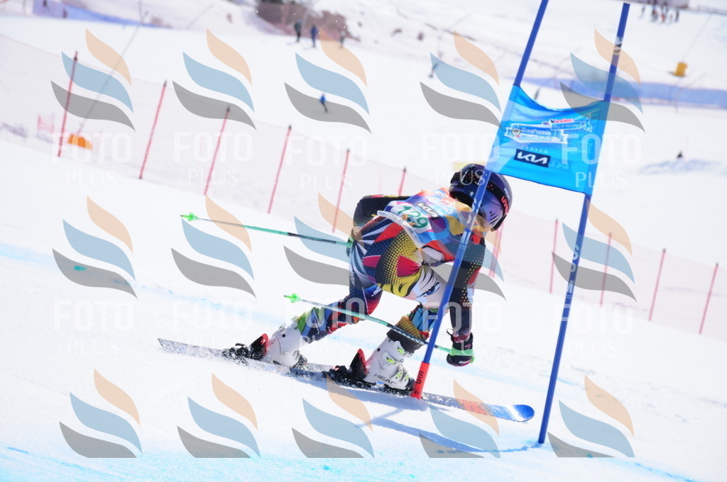 DSC_1079 | holidayphoto