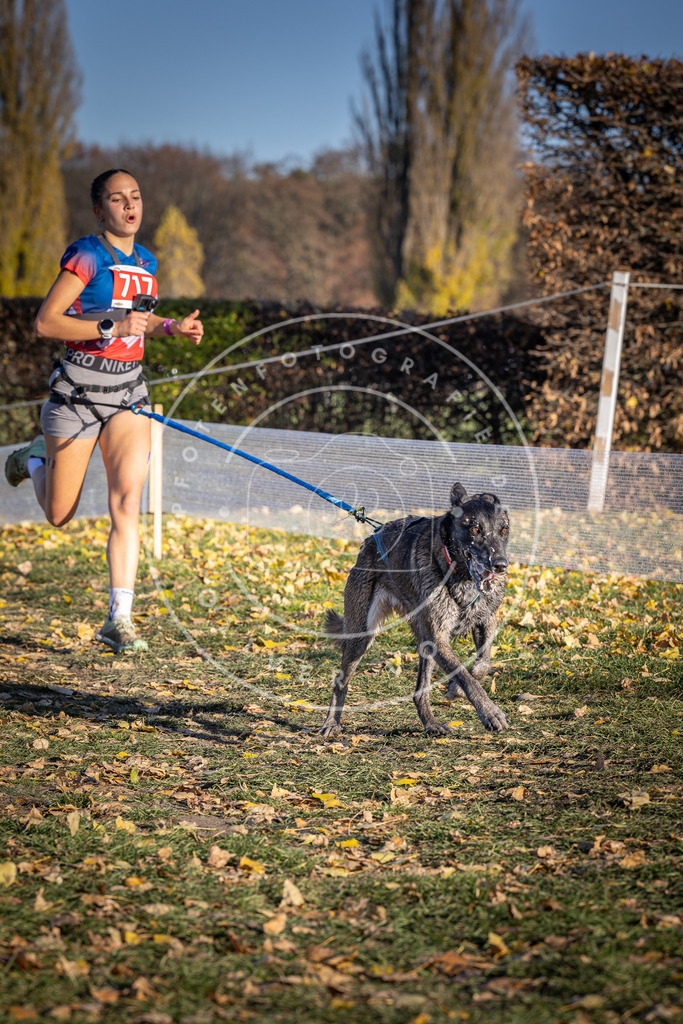 CaniXpix_DV3A1770 | Hundefotografie, Tierfotograf, Pfotenfotografie, Fotoshooting Hund, Hunde Portrait, Hundesport, Hundeportraits, Heideshooting, Hunde, Sportfotograf, Hundefotograf, Turnierhundsport, THS,  - Realisiert mit Pictrs.com