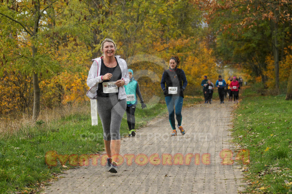 221127_1045_EV4_2186 | Sportfotografie im Rhein-Sieg Kreis, Köln, Bonn, NRW, Rheinland Pfalz, Hessen, etc. Unser Tätigkeitsfeld umfasst den Laufsport vom Volkslauf über den Marathon, Duathlon, Triathon bis zum Ultralauf wie Kölnpfad Ultra oder Schindertrail.