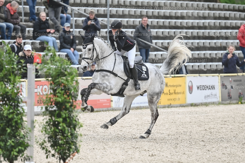 20230514_CCI4_Springen_0364 | equistock