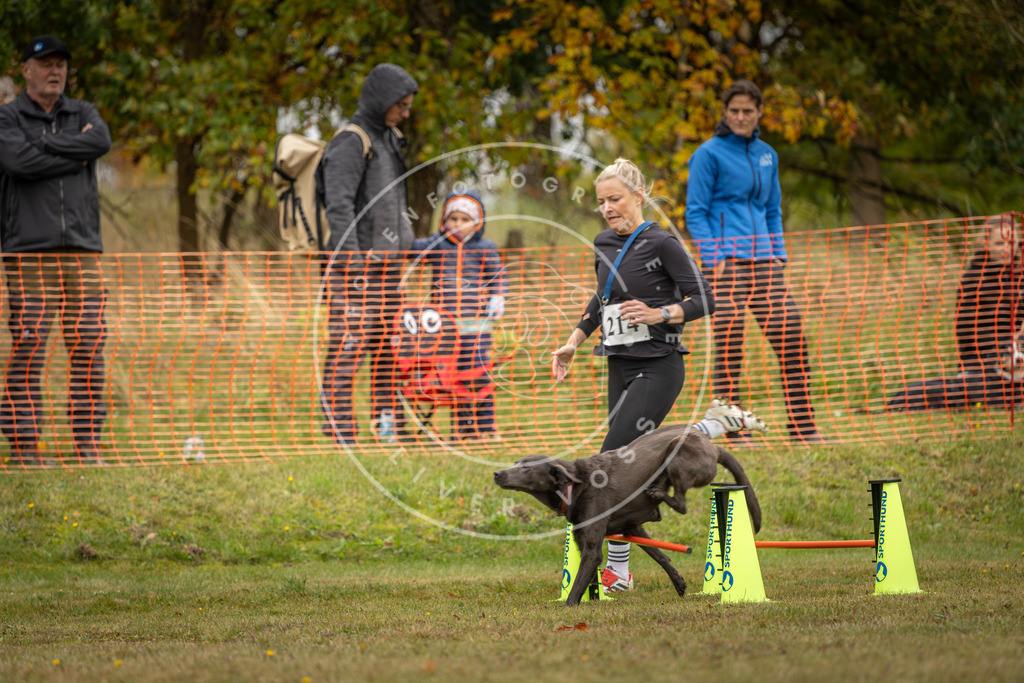 Pfotenfotografie_DV3A4326 | Hundefotografie, Tierfotograf, Pfotenfotografie, Fotoshooting Hund, Hunde Portrait, Hundesport, Hundeportraits, Heideshooting, Hunde, Sportfotograf, Hundefotograf, Turnierhundsport, THS,  - Realisiert mit Pictrs.com