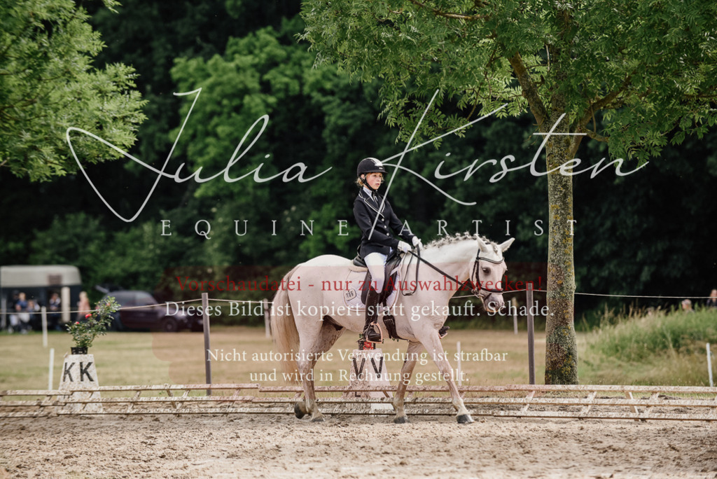 DSC_9445 | Pferde- und Turnierfotografie in Westsachsen. Pferdeportraits, Auftragszeichnungen und intuitive Kunst.