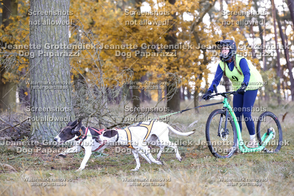 Dog Paparazzi - Elsholz 25 -62 | Dog Paparazzi Jeanette Grottendiek Fotografie & Videografie - Realisiert mit Pictrs.com