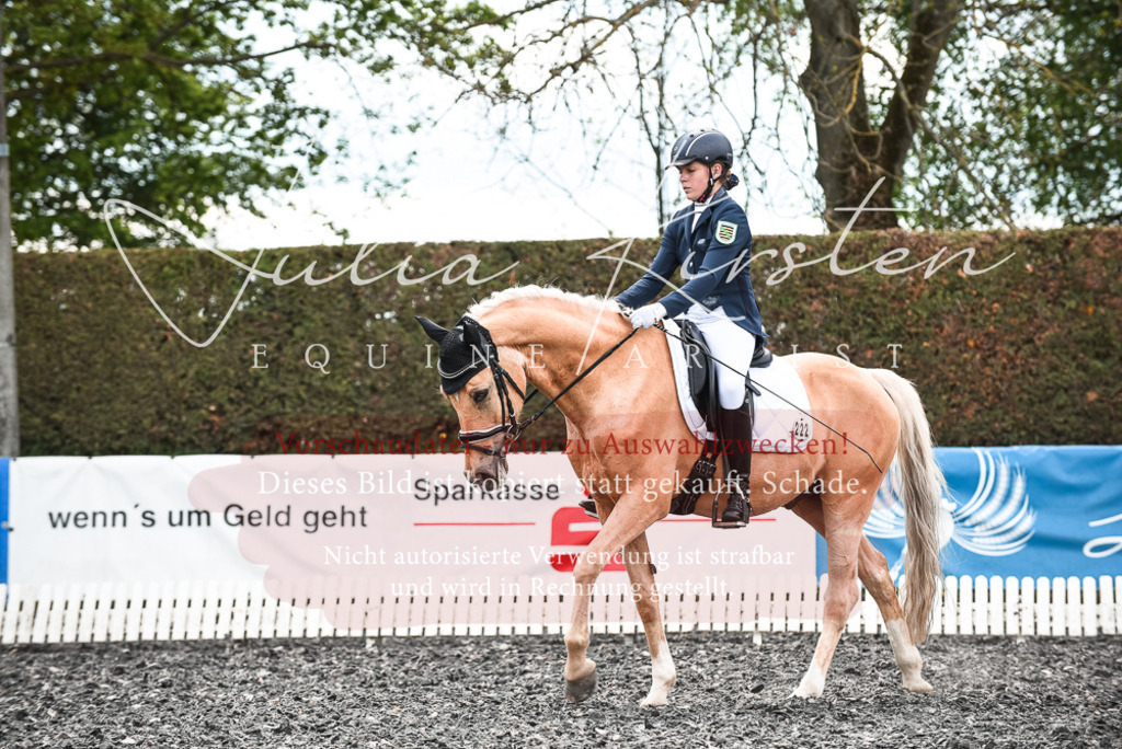 20230514_JK-Röhrsdorf-24-407 | Pferde- und Turnierfotografie in Westsachsen. Pferdeportraits, Auftragszeichnungen und intuitive Kunst.