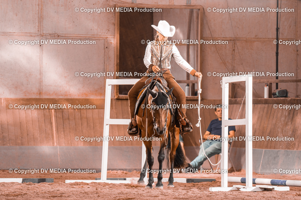 NE300190 | dv-media-shop - Realisiert mit Pictrs.com