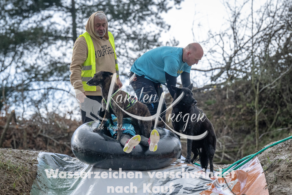 1545_ZZ91121 | kk-dogfotos