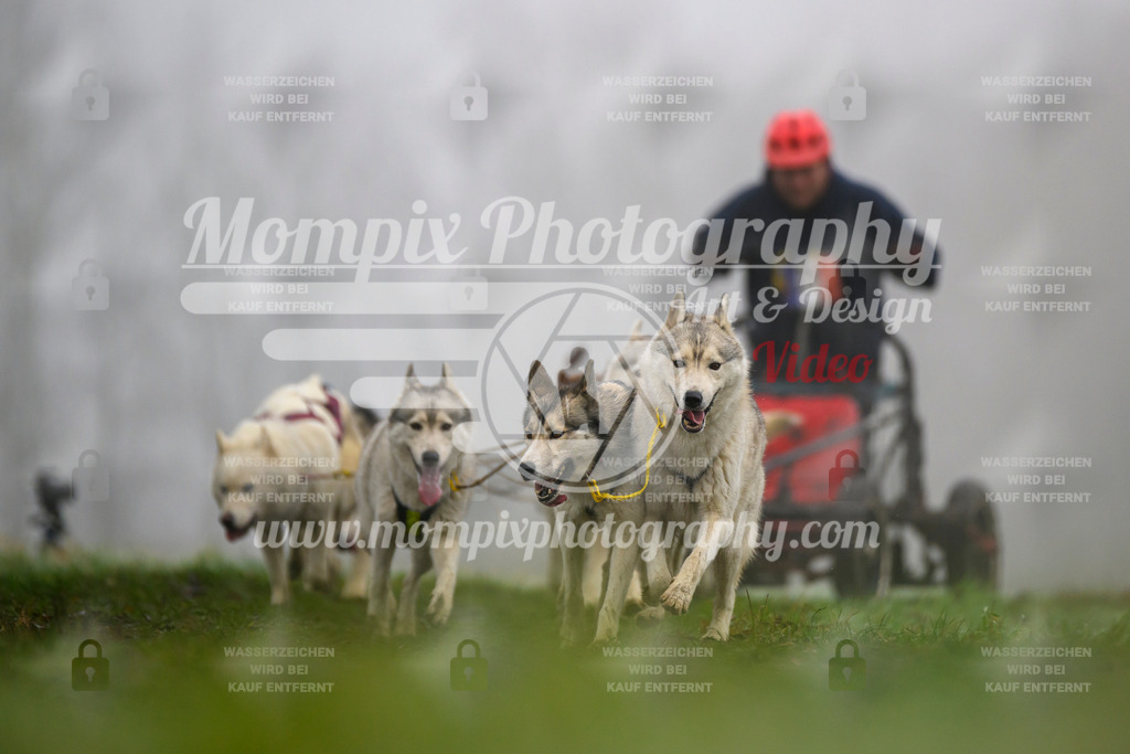 MompixPhotography_CDF2023_FFST_Di_Kart-91 | PayLife