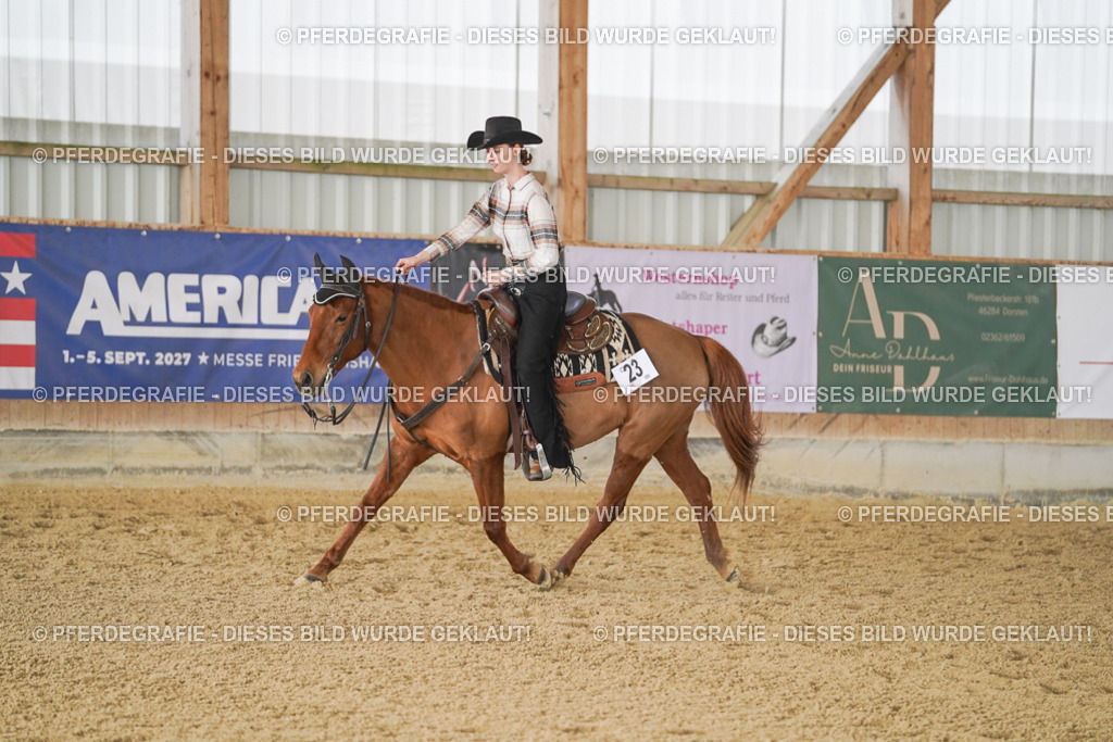 DSC00102 | Pferdegrafie