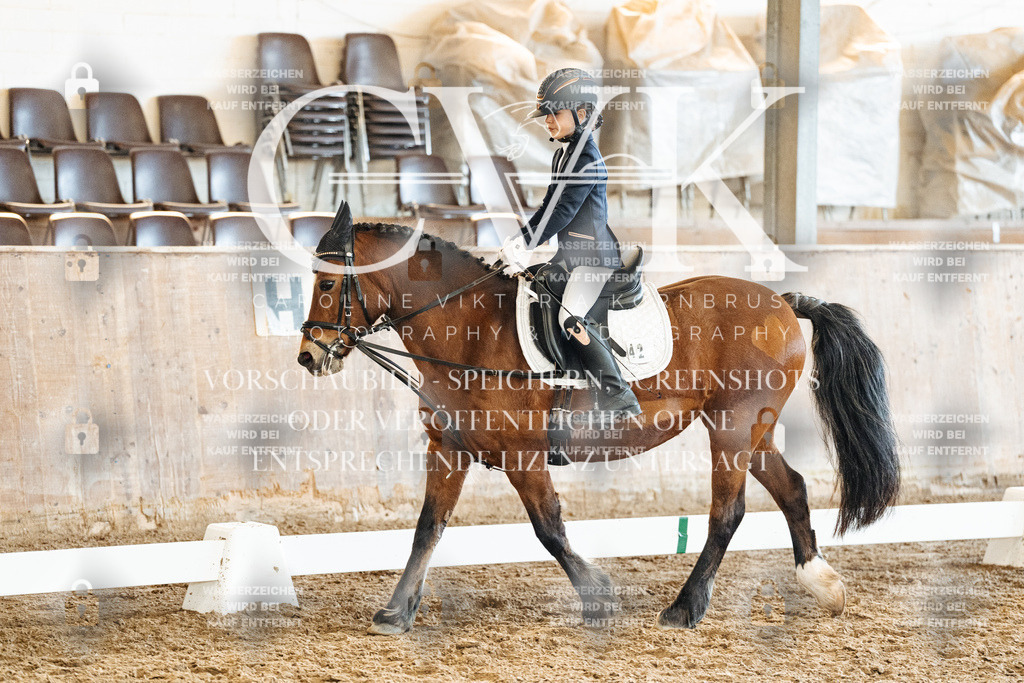 CK900578 | Turnierfotografie Pferdefotografie Trier Rheinland-Pfalz Pferdesport Reitsport Tierfotografie Sportfotografie Pferdevideo Pferdevideografie Equestrianvideography equestrianphotography  - Realisiert mit Pictrs.com