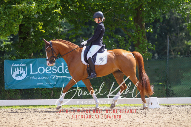 DKP42660 | Turniersportfotografie; Pferdefotografie; Dressurfotografie