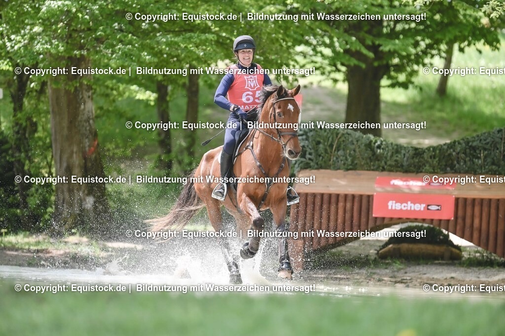 20250517_CCI2_Gelände_1835 | Foto: Thomas Hartig