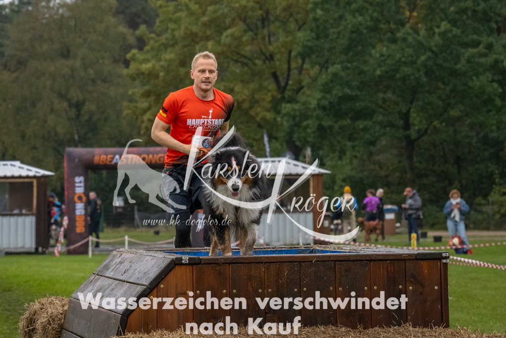 1221--2 | kk-dogfotos