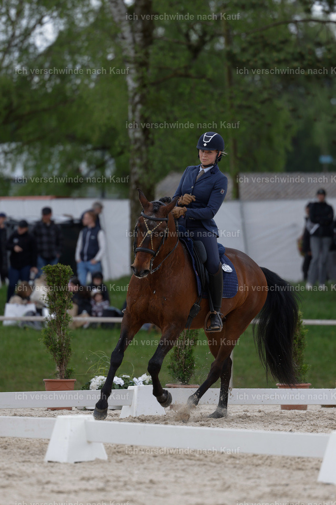 PI26_DR_259_Stoibphotography_AM10865.jpg | working equitationturnier fotograf videograf stoibphotography marixx film working equitation deutschland reitsport turnierfotografie eventfotografie equestrian events