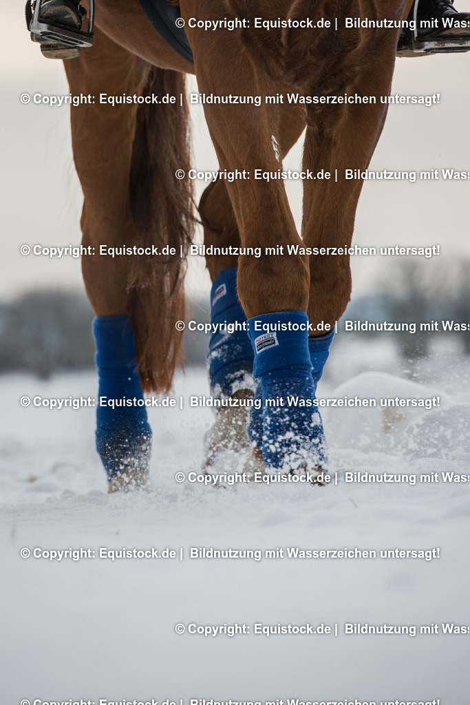 20160116_TOMsPiC_0359 | equistock