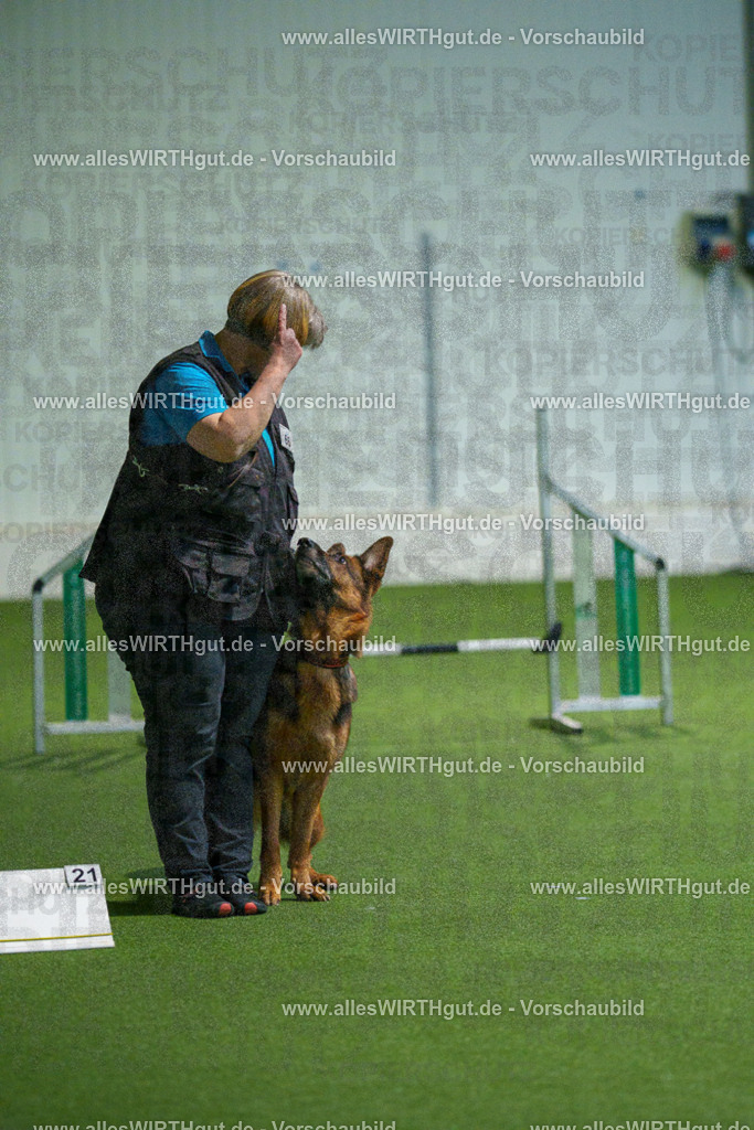 7R508014 | Professionelle Tierfotografie in Mönchengladbach von Daniel Wirth (allesWIRTHgut). Liebevolle & natürliche Bilder von Hunden & Katzen für unvergessliche Erinnerungen.