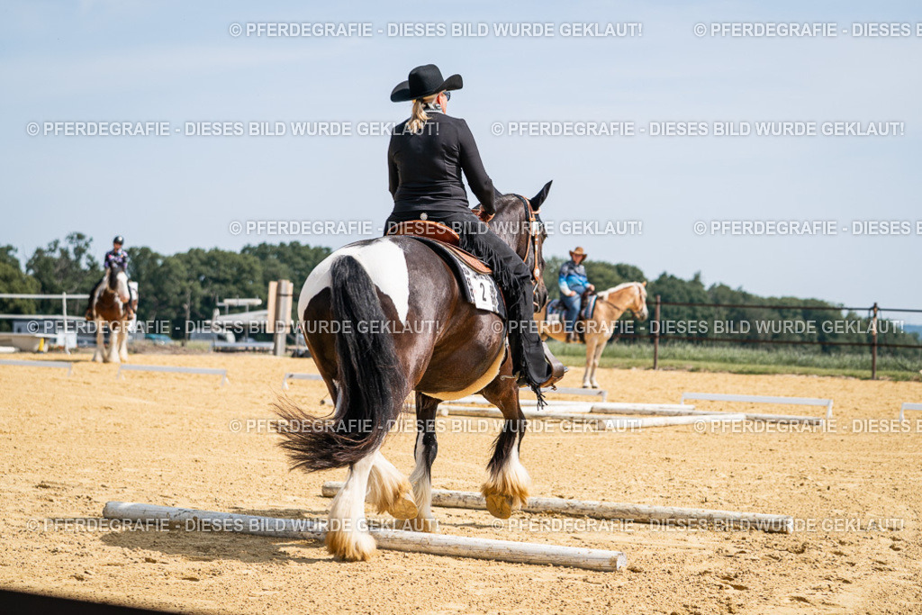 DSC00225 | Pferdegrafie