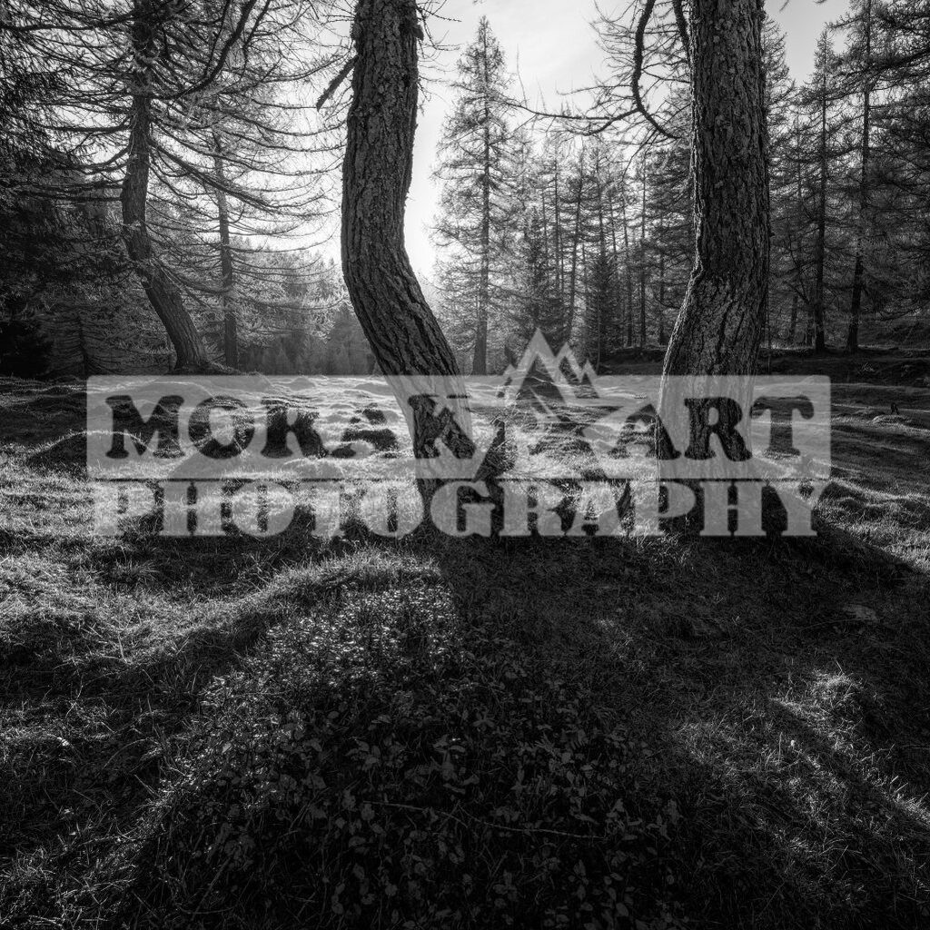 1-11-1025-1025 | morakartphoto