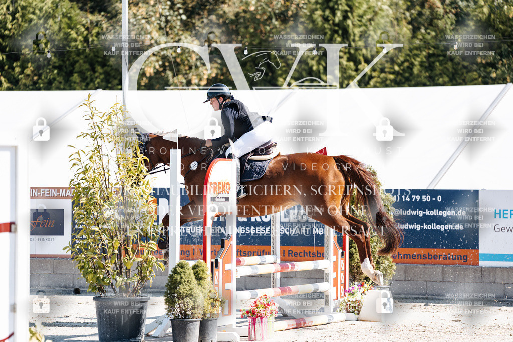 CK904949 | Turnierfotografie Pferdefotografie Trier Rheinland-Pfalz Pferdesport Reitsport Tierfotografie Sportfotografie Pferdevideo Pferdevideografie Equestrianvideography equestrianphotography  - Realisiert mit Pictrs.com