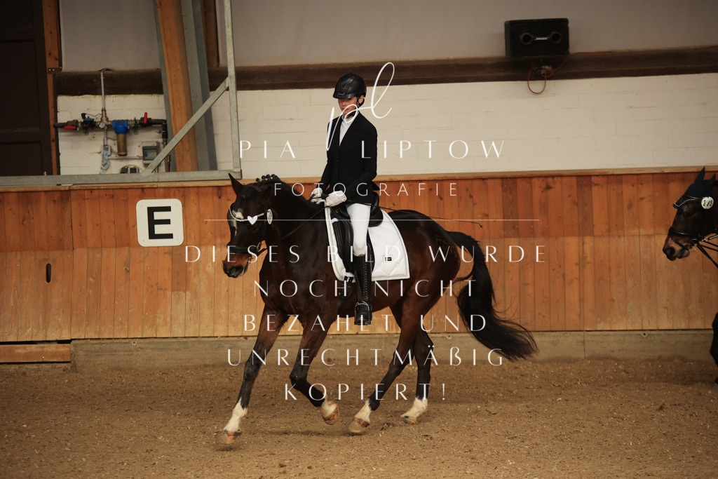 IMGT5448 | pl-fotografie