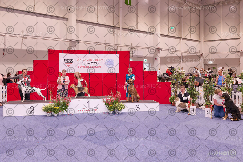 202406_ÖKV-IHA-Tulln24_NZ9_9545 | proPHOTO - Realisiert mit Pictrs.com