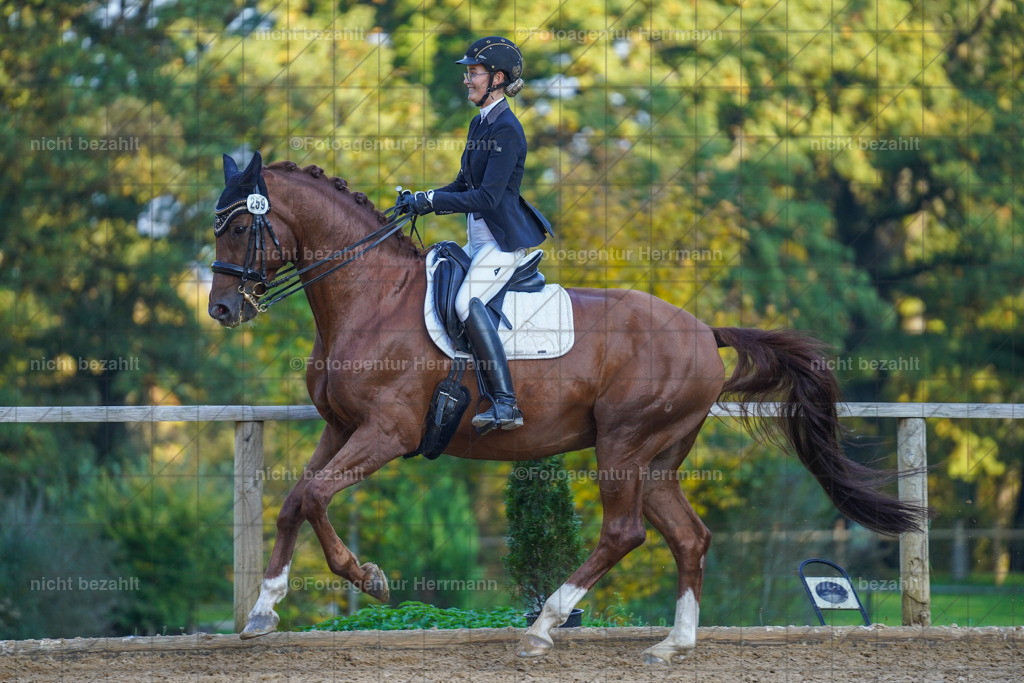 20221007-FAH00342 | Diessen am Ammersee, 2022, Dressur- und Springturnier, Reitsportbilder, Turnierfotografen Bayern, Pferdefotografen, Fotoagentur Herrmann, Turnierbilder