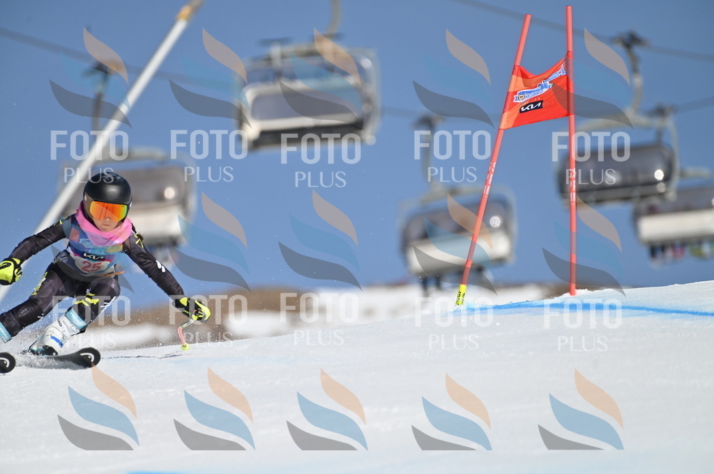 BGV_8039 | holidayphoto