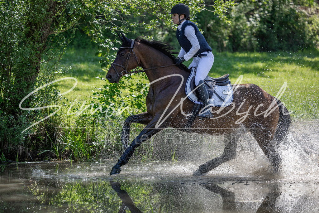 20260523-_3LI7412 | Tierfotografie Pferde, Hunde, Katzen, Haustiere.
Turnierfotografie Reitturniere, Reiten, Springreiten, Dressur in Hanau, dem Main-Kinzig-Kreis und dem Rhein-Main- Gebiet um Frankfurt