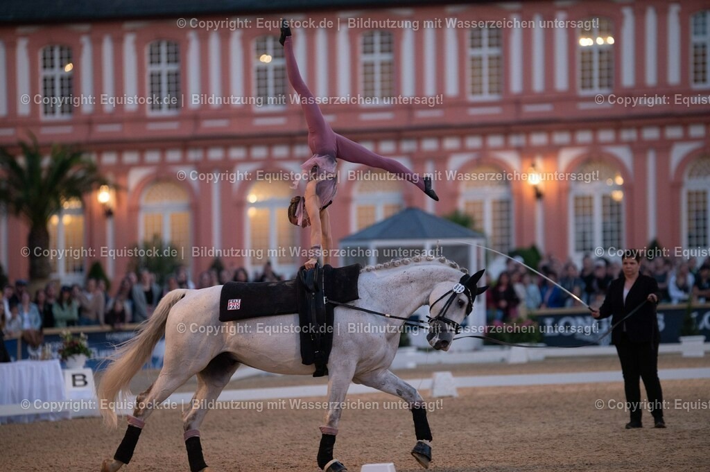 20230527_Voltigieren_NASPA_Flutlicht_0363 | equistock