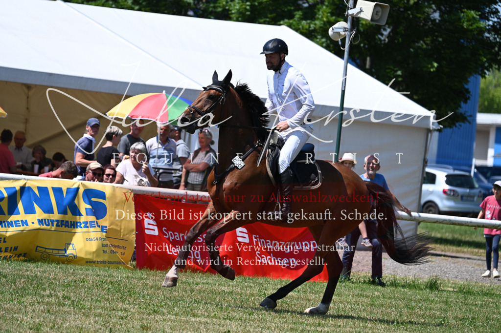 DSC_0601 | Pferde- und Turnierfotografie in Westsachsen. Pferdeportraits, Auftragszeichnungen und intuitive Kunst.
